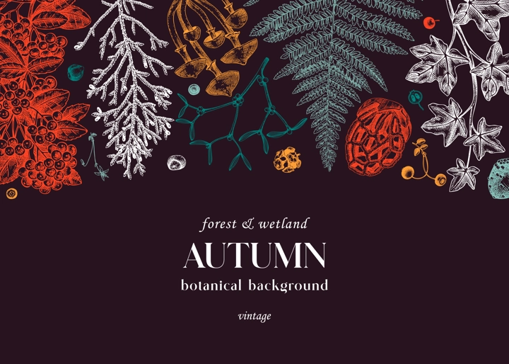 Hand drawn autumn background in color. Vintage banner with ferns, forest mushrooms, fall leaves and autumn plant sketch. Botanical design template in engraved style. Vector woodland illustration